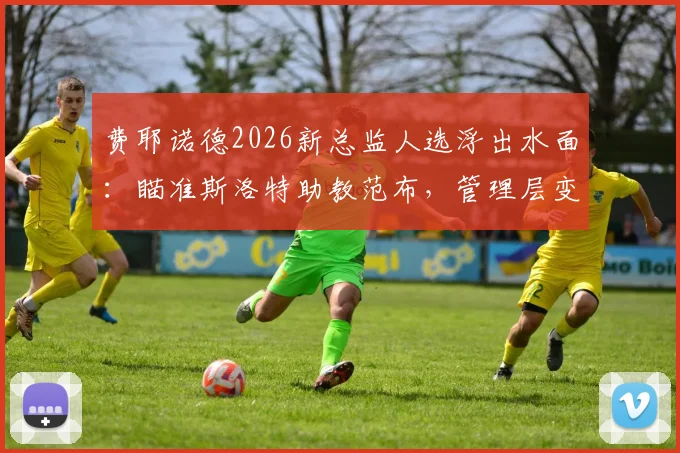 费耶诺德2026新总监人选浮出水面：瞄准斯洛特助教范布，管理层变动引发关注