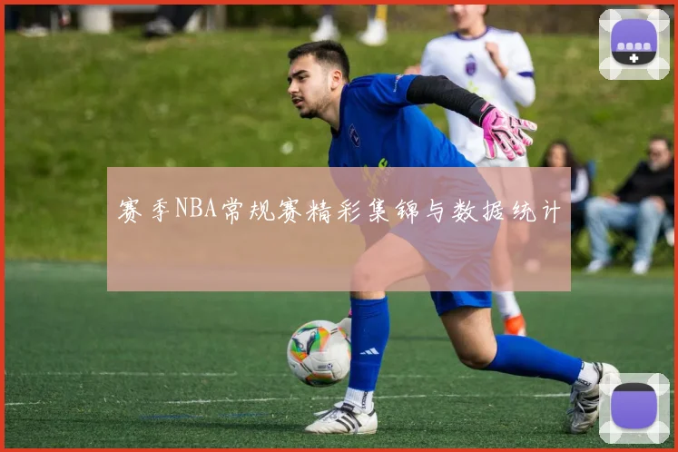 赛季NBA常规赛精彩集锦与数据统计